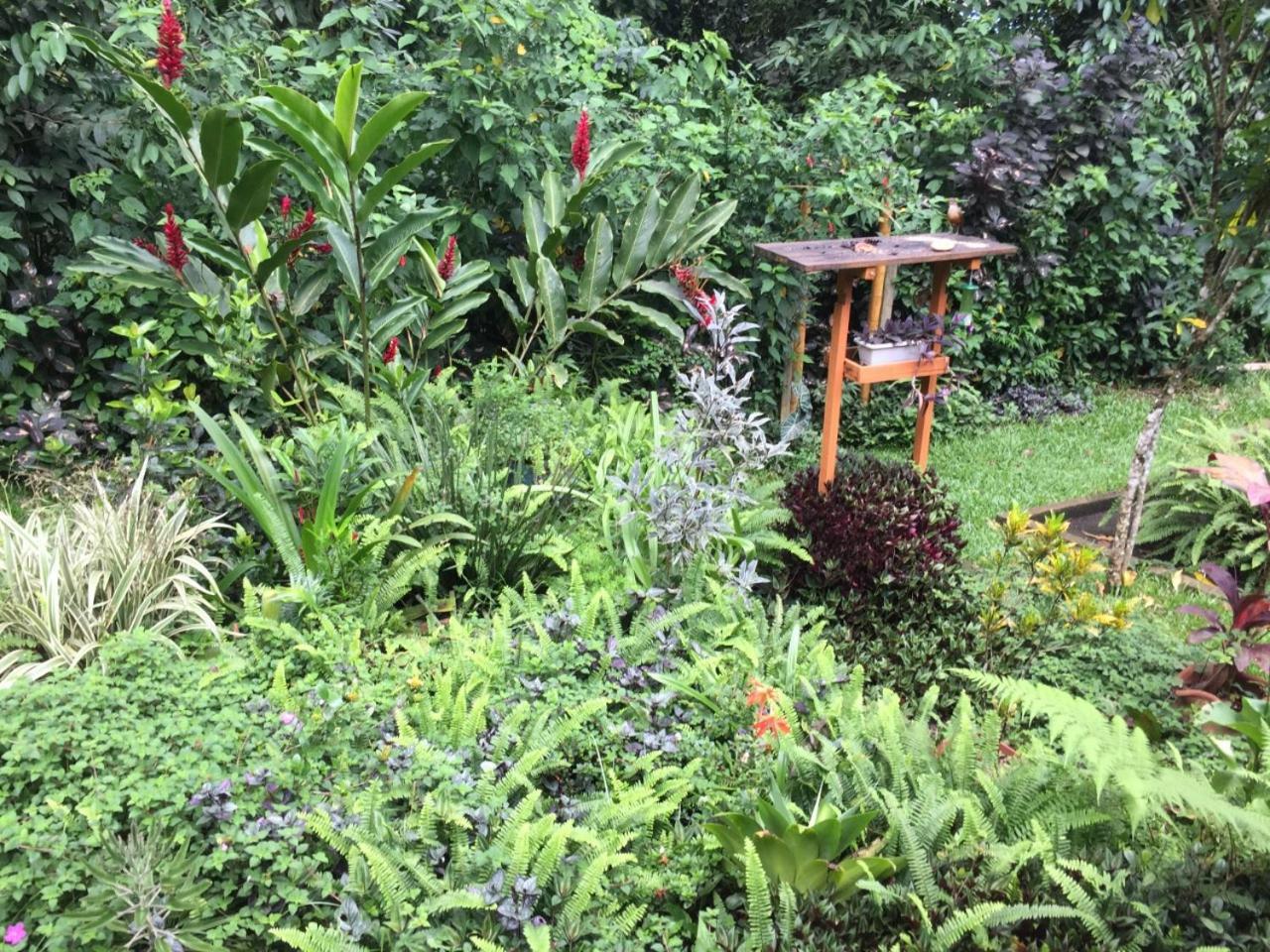 Casa Arariba - Ilha Grande - Abraão Zewnętrze zdjęcie