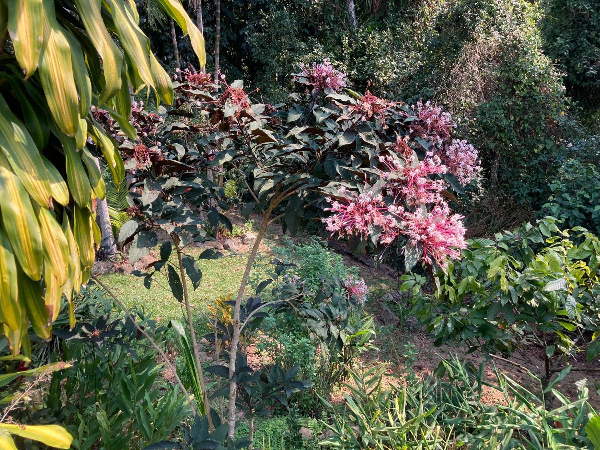 Casa Arariba - Ilha Grande - Abraão Zewnętrze zdjęcie